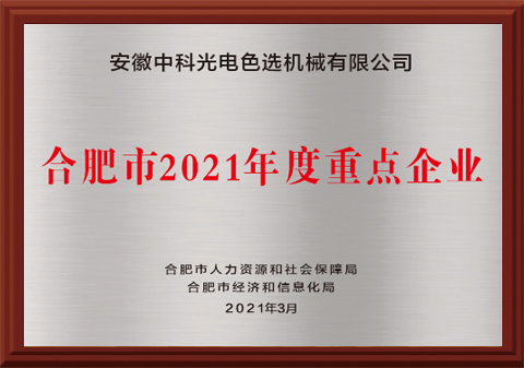 465-合肥市2021年度重點企業(yè)