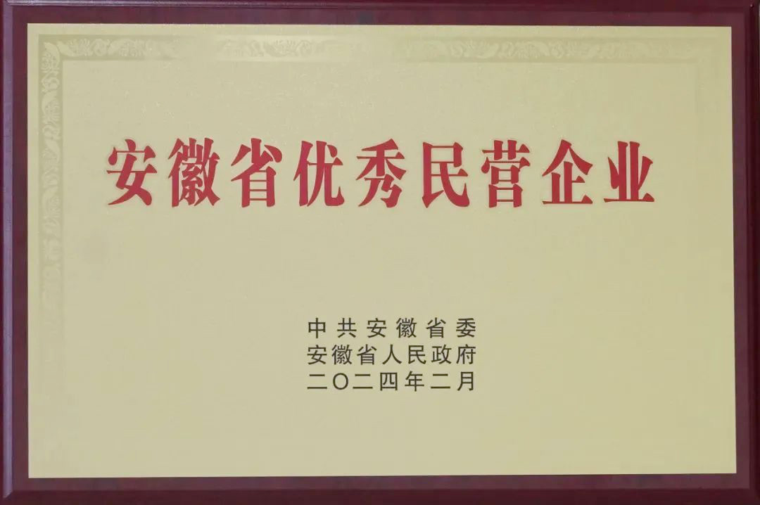 853-安徽省優(yōu)秀民營企業(yè)